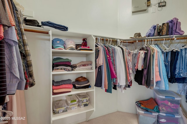 walk in closet featuring carpet floors