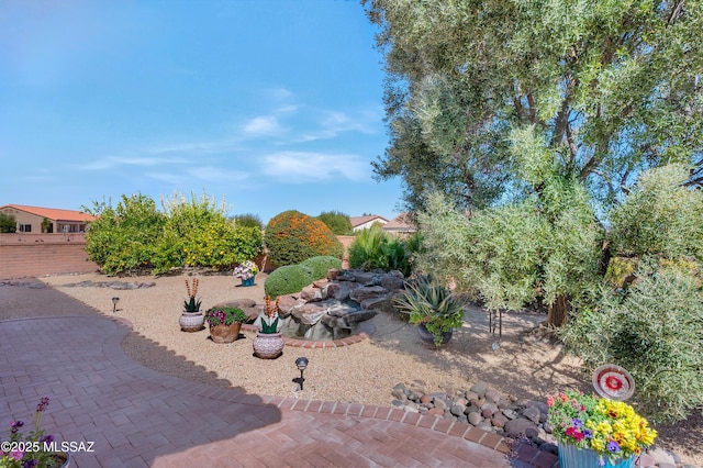 view of yard with a patio area and fence