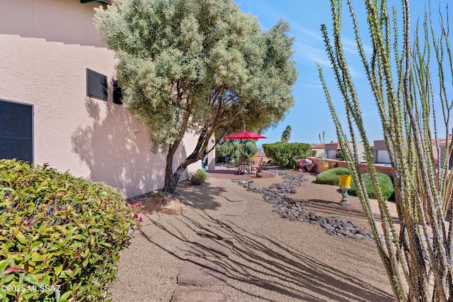 view of yard featuring a patio area