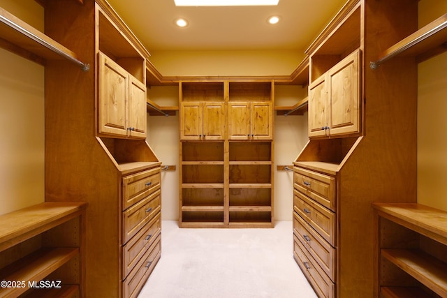 spacious closet with light carpet