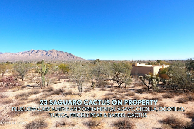 property view of mountains