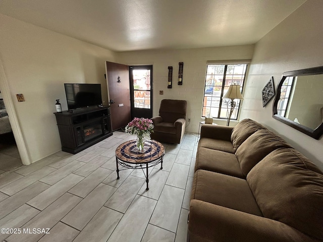 living area with a wealth of natural light and a glass covered fireplace