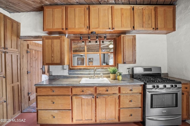 kitchen with stainless steel range with gas stovetop and a sink