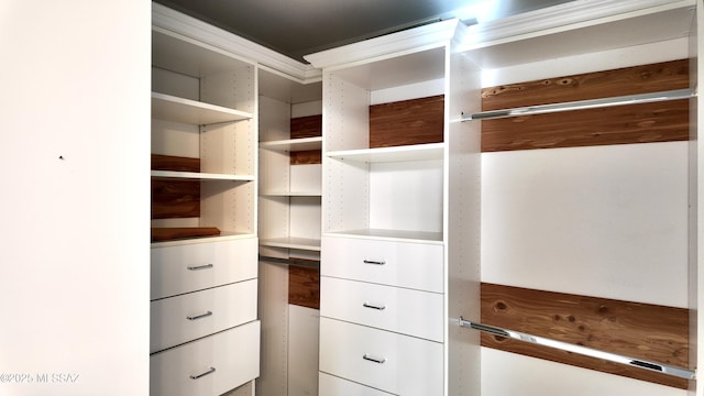 view of spacious closet