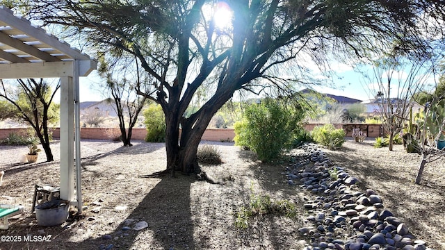 view of yard with a fenced backyard and a pergola