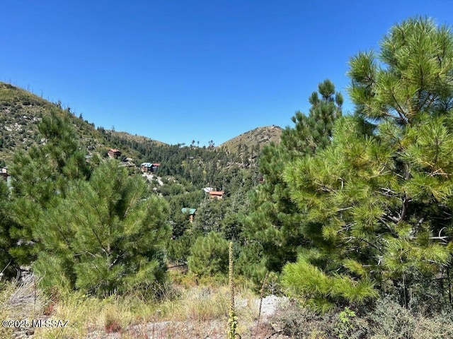 12802 N Ray Ave Unit 12/17, Mount Lemmon AZ, 85619 land for sale