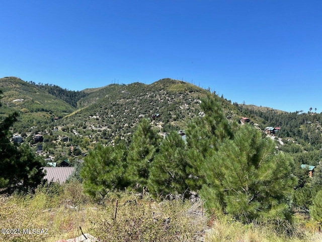 Listing photo 2 for 12802 N Ray Ave Unit 12/17, Mount Lemmon AZ 85619