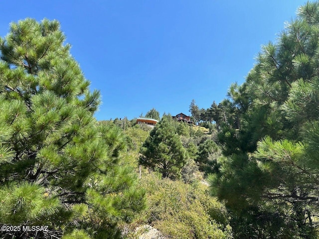 Listing photo 3 for 12802 N Ray Ave Unit 12/17, Mount Lemmon AZ 85619