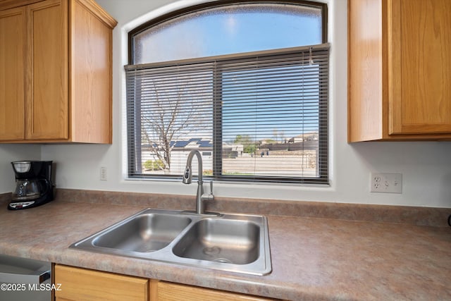 kitchen with dishwasher and a sink