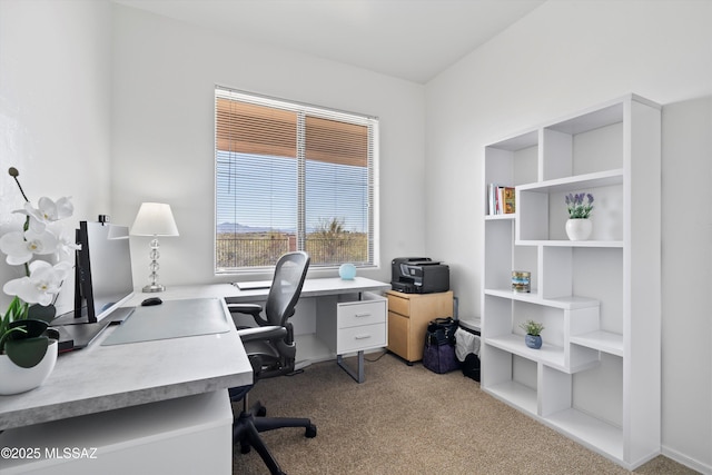 view of carpeted office space