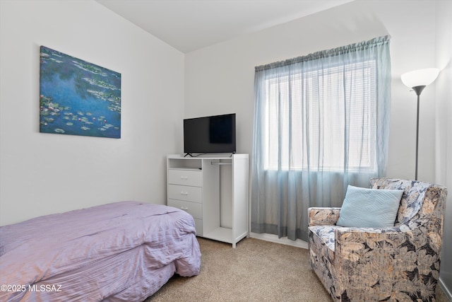 bedroom with light colored carpet