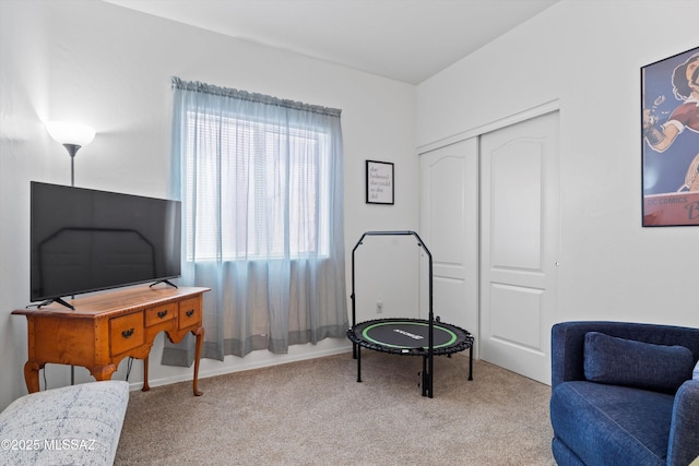 sitting room featuring carpet flooring