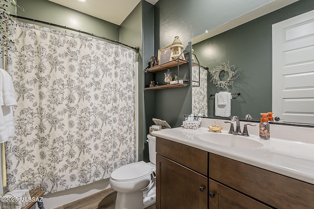 full bathroom with vanity, toilet, and a shower with curtain