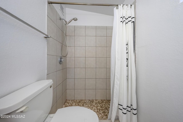 bathroom with a stall shower and toilet