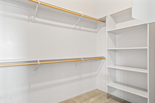 walk in closet with carpet