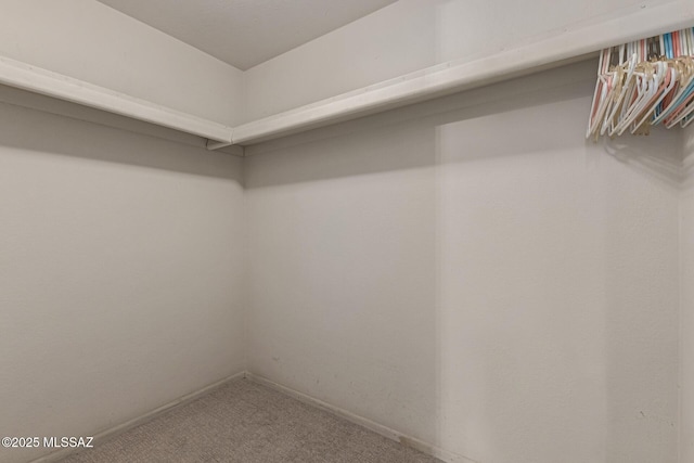 walk in closet featuring carpet floors