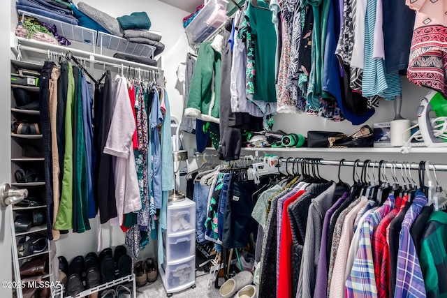 view of spacious closet