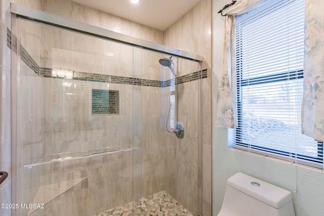 full bath featuring toilet and a shower stall