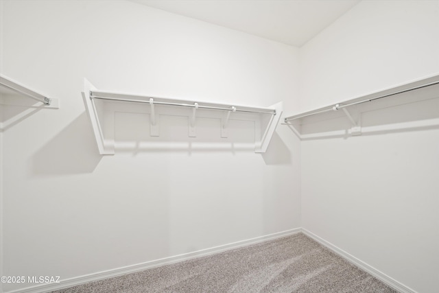 spacious closet with carpet floors