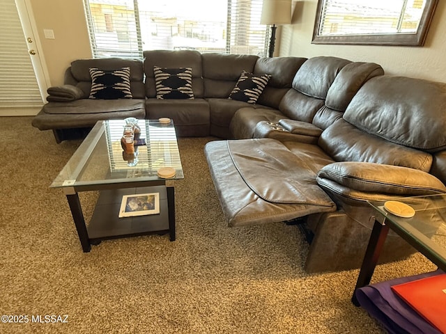 living area with carpet flooring