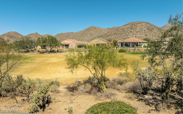 5084 W Desert Poppy Ln, Marana, AZ 85658 - mountain view