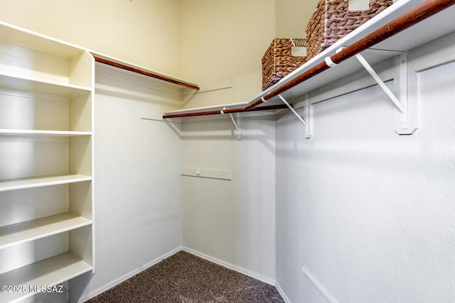 walk in closet with carpet flooring