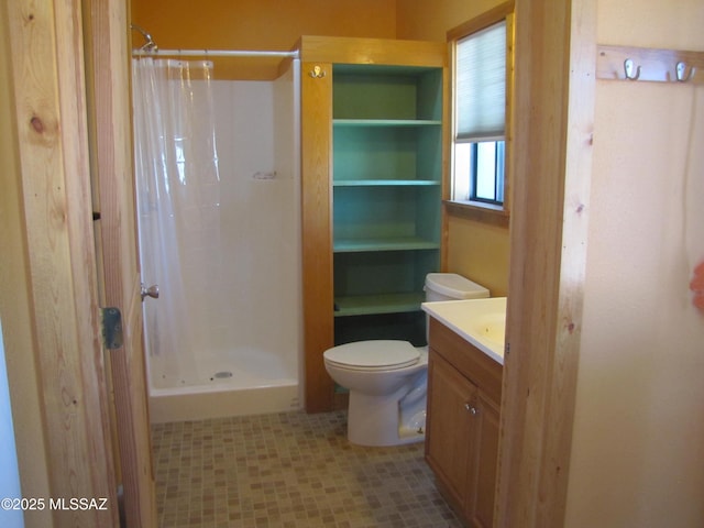 full bathroom featuring a shower stall, vanity, and toilet