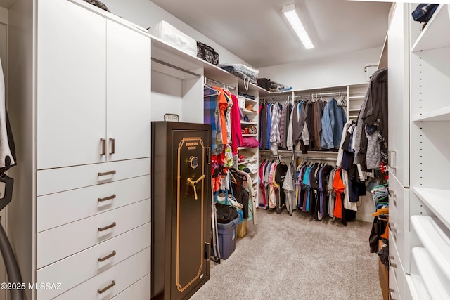 spacious closet with carpet