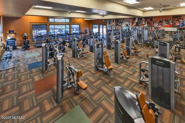 workout area featuring carpet floors