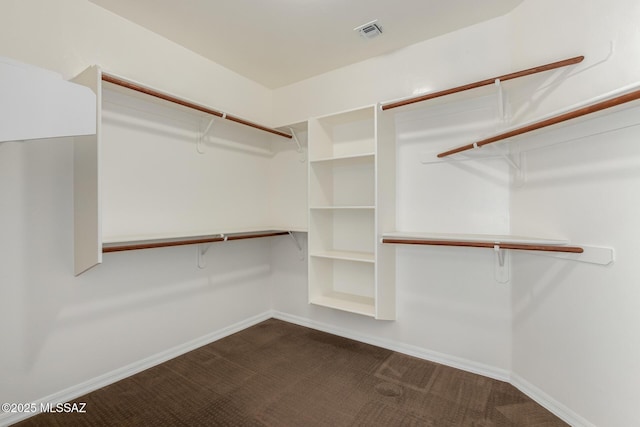 13827 E Fiery Dawn Dr, Vail, AZ 85641 - spacious closet with dark carpet and visible vents
