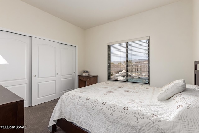 13827 E Fiery Dawn Dr, Vail, AZ 85641 - bedroom featuring dark carpet and a closet