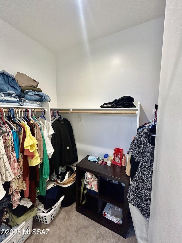 spacious closet featuring carpet