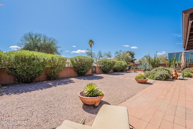 view of yard featuring a patio and a fenced backyard