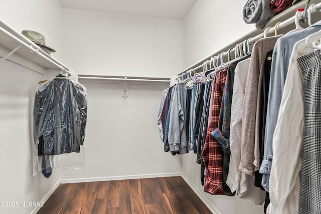 walk in closet featuring wood finished floors