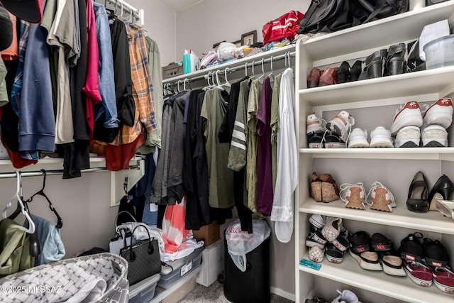 walk in closet with carpet