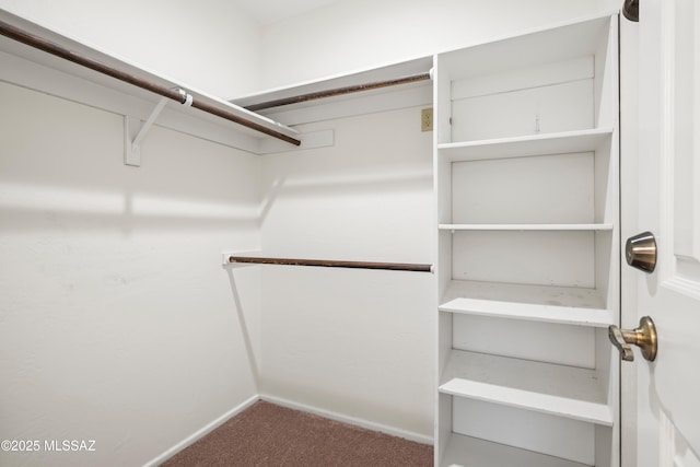 spacious closet with carpet flooring
