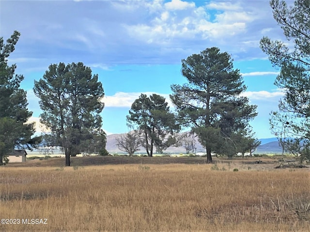 view of local wilderness featuring a mountain view and a rural view