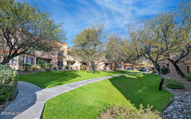 view of home's community with a yard