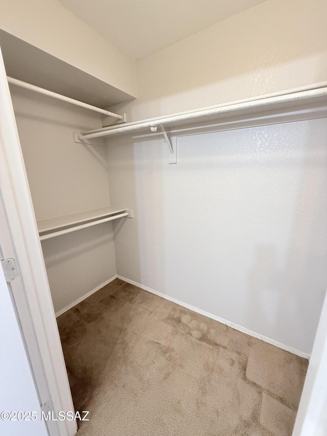walk in closet featuring carpet
