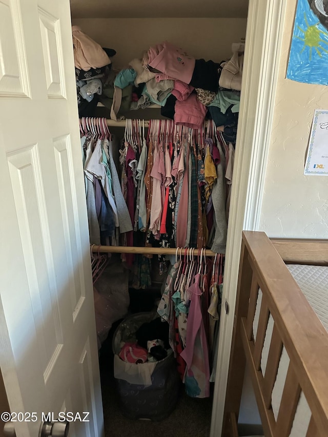 view of closet