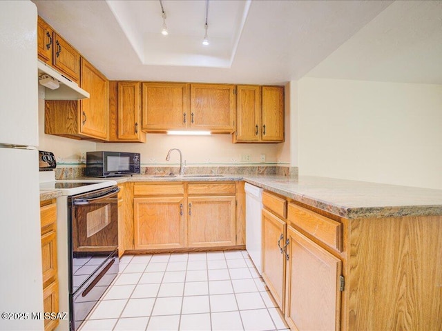 kitchen with electric stove, black microwave, a tray ceiling, rail lighting, and under cabinet range hood