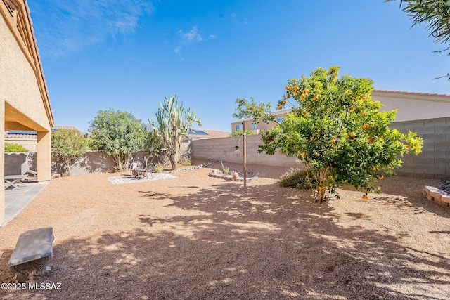 view of yard featuring a patio and a fenced backyard