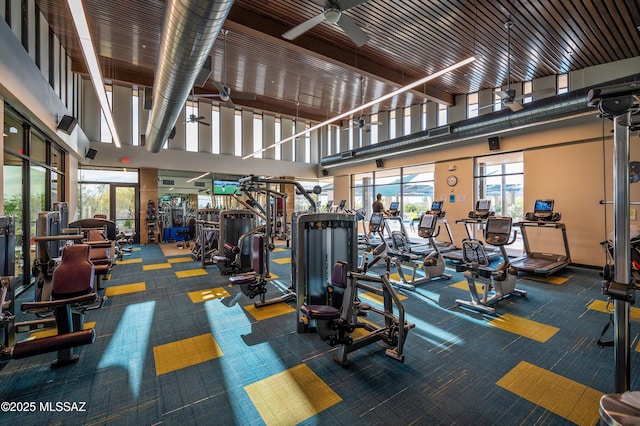 7006 W Cape Final Trl, Marana, AZ 85658 - workout area featuring ceiling fan, carpet, and a towering ceiling