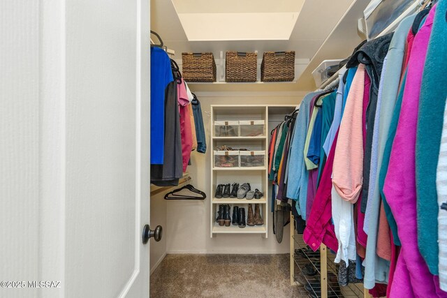 499 W Windowmaker Rd, Tucson, AZ 85737 - spacious closet with carpet flooring