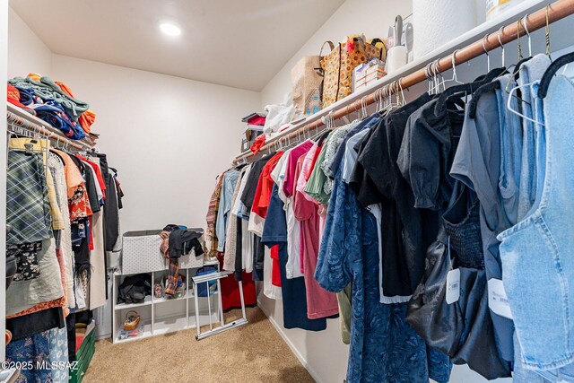 walk in closet with carpet flooring
