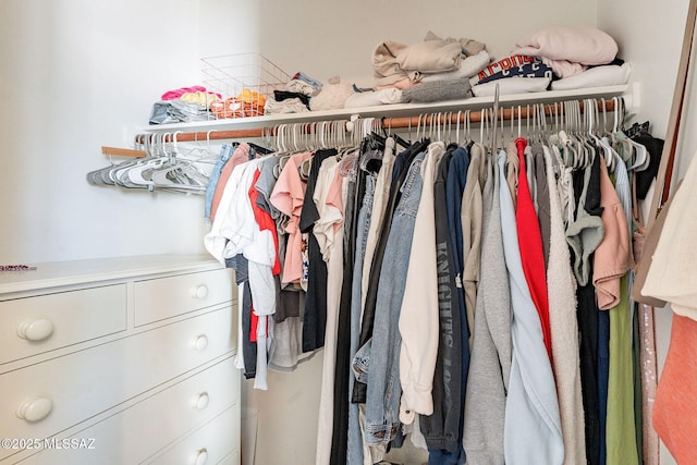 view of spacious closet