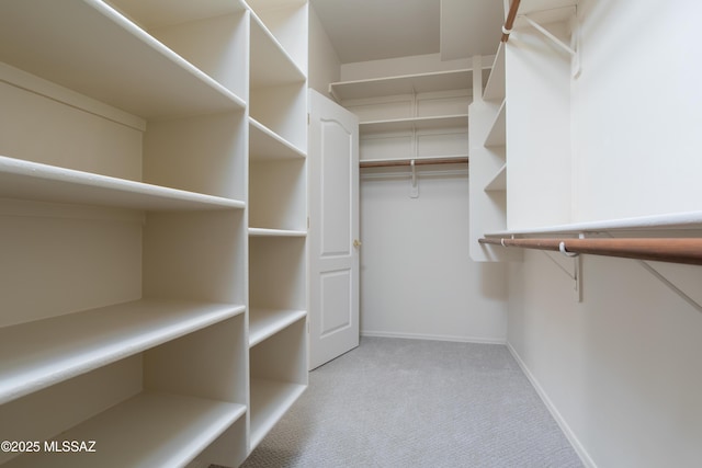 spacious closet with light colored carpet