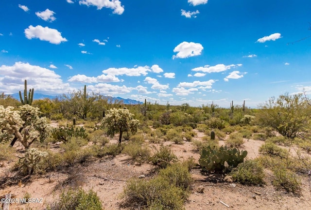 view of landscape featuring a mountain view