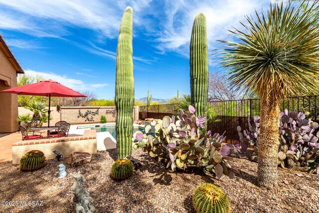 view of yard with a fenced backyard, a patio, and a fenced in pool