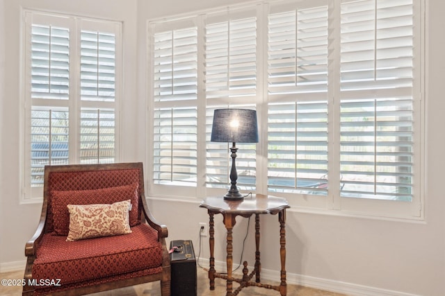 living area featuring baseboards and a wealth of natural light